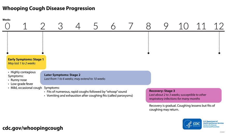 Recovery from pertussis, or whooping cough, can take weeks to months.