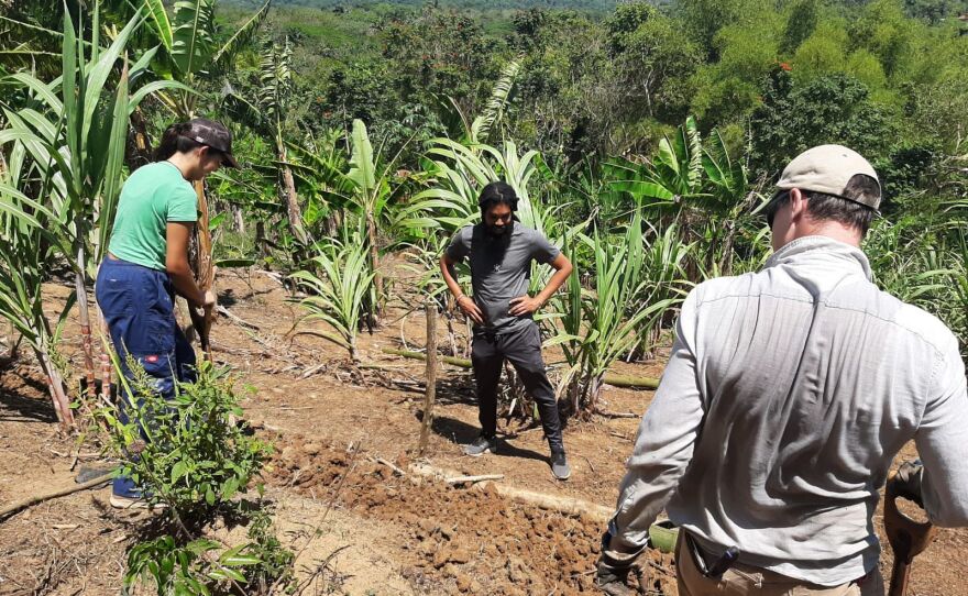 Mya practicing contour farming_St. Mary Jamaica.jpg