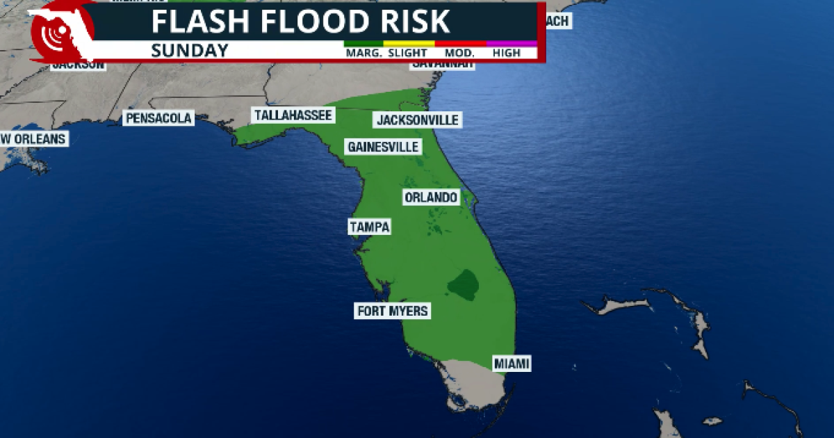 Florida's Halloween & weekend forecast