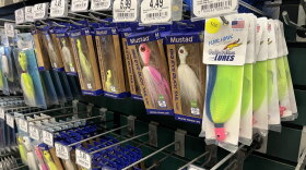 This year, the state doubled the eligible price thresholds for fishing bait and tackle to $10 for individual items and $20 for multiple items sold together.