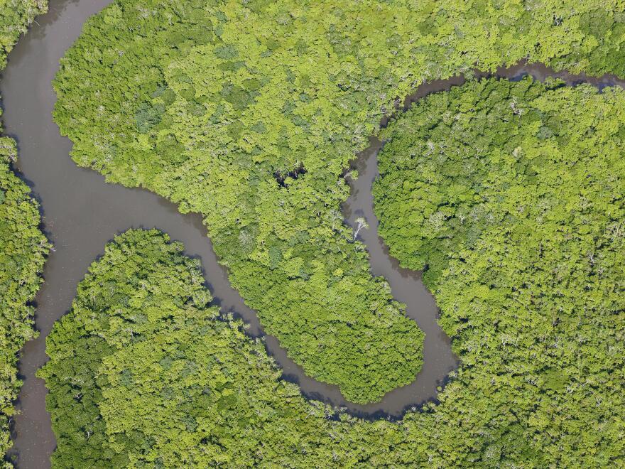 Aerial view of rain forest. Daintree River. Daintree National Park. Queensland Australia. [Peter Adams / Avalon/Universal Images Group vi]