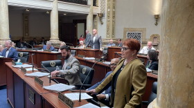 Louisville Senator Denise Harper Angel in the foreground-Fruit Hill Senator Whitney Westerfield standing in the background