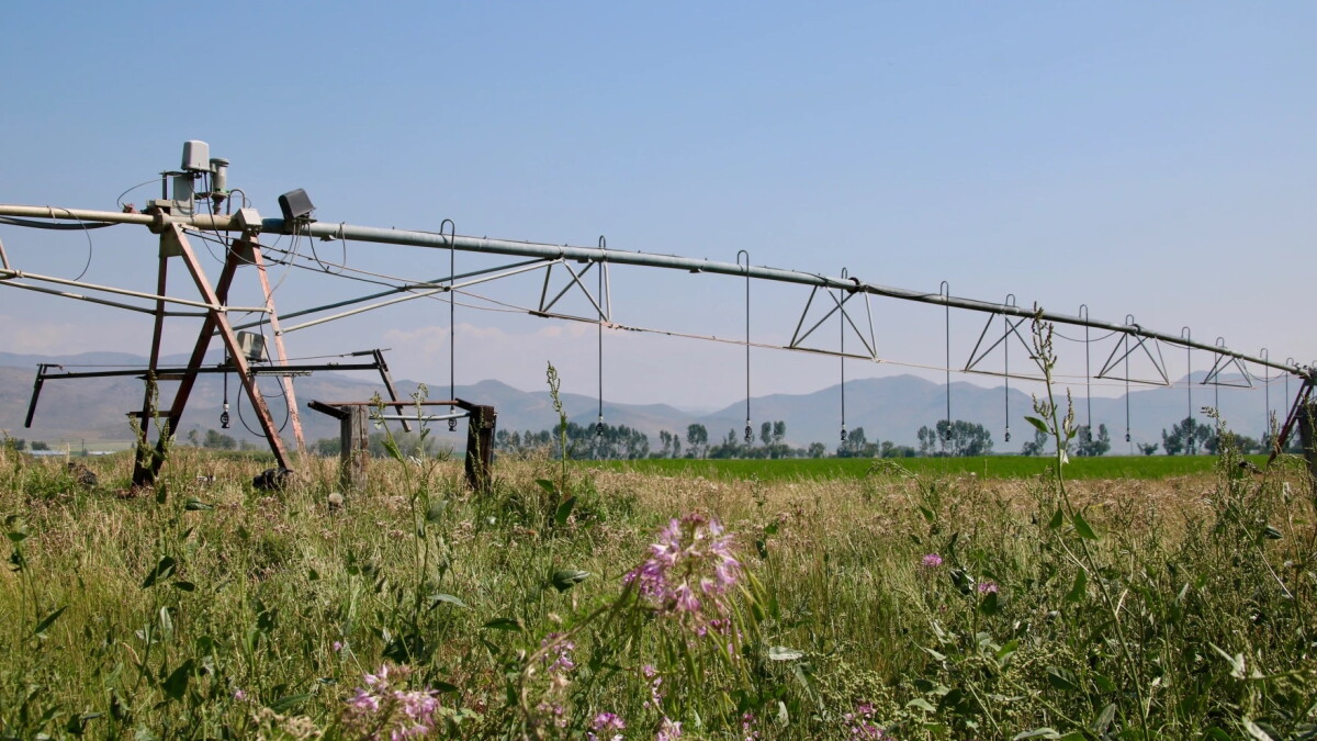 University of Idaho finalizes climate-smart agriculture grant - Vimarsana News