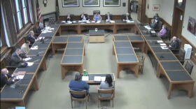 screenshot photo of fiscal committee meeting 