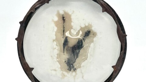 Incineration wildfire encased in a round foggy cameo framed in barbed wire. 