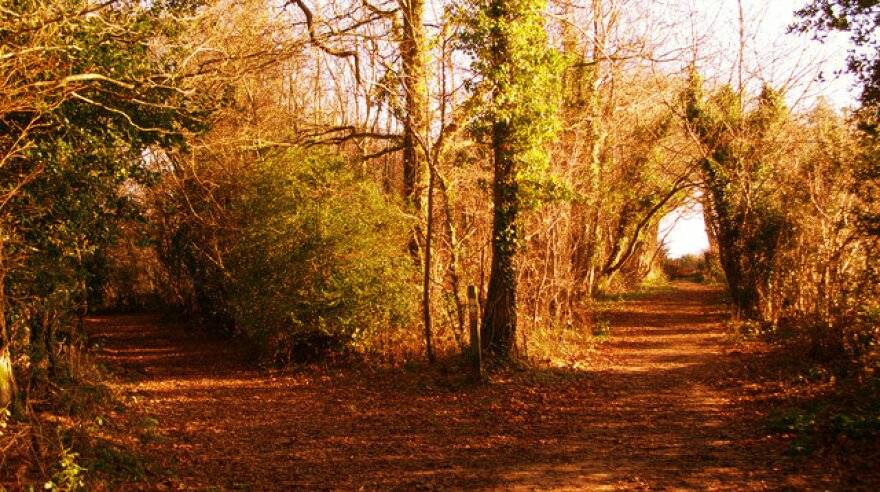 The Road Not Taken