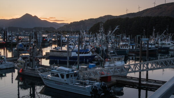 Several boats of the island’s fleet dock at the St. Herman Harbor. (Brian Venua/KMXT)