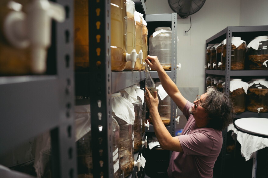 Confluence Kombucha owner William Esslinger pours mushroom-fermented kombucha in a bottle stuffed with huitlacoche on Aug. 26.