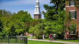 Students walk through Harvard Yard. (Jesse Costa/WBUR)