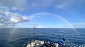 At least twice a year, scientists board the Bell M. Shimada, a National Oceanic and Atmospheric Administration research vessel, to study the Northern California Current ecosystem