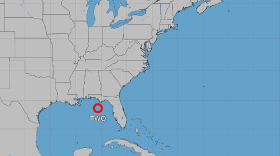 Tropical Depression Two