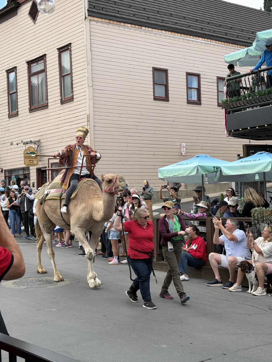 Egyptian Theatre manager Randy Barton rides down Park City Main Street on a camel during the 2026 Miners Day parade.