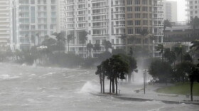In 2017, Hurricane Irma pushed ashore a storm surge that flooded the shores of Biscayne Bay and moved up coastal rivers.