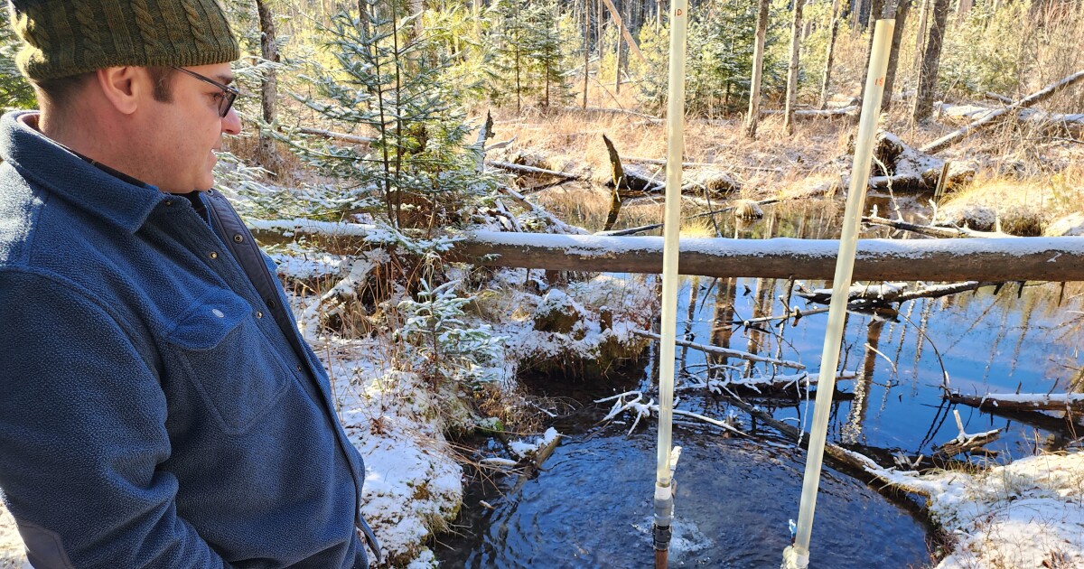 What the data show about Poland Spring's water withdrawals in Maine