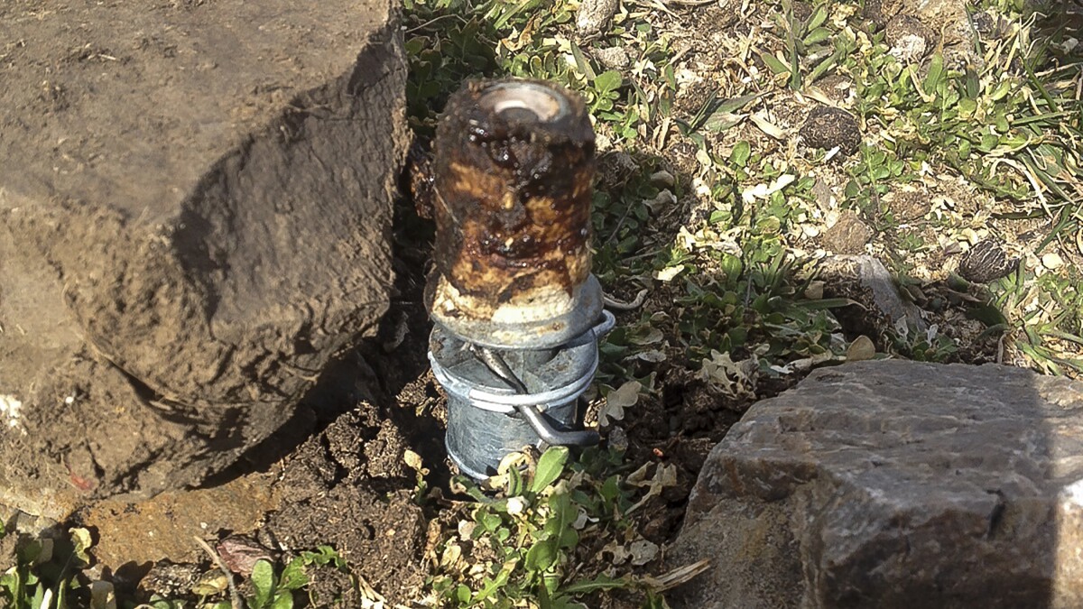 EPA Denies Petition To Immediately Ban 'Cyanide Bombs' On Public Lands | YPR