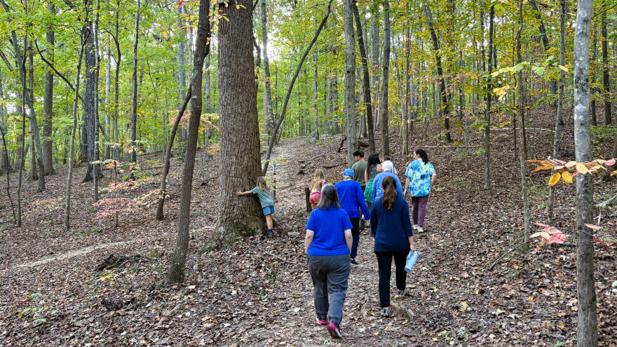 Hikers walk down the Chestnut Loop Trail in the McDowell Nature Preserve to see some of the state's oldest trees.