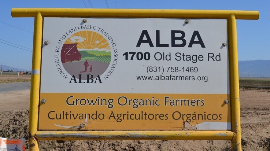 Farmers at ALBA learn about production, marketing, management and organic farming in order to start their own farming businesses.