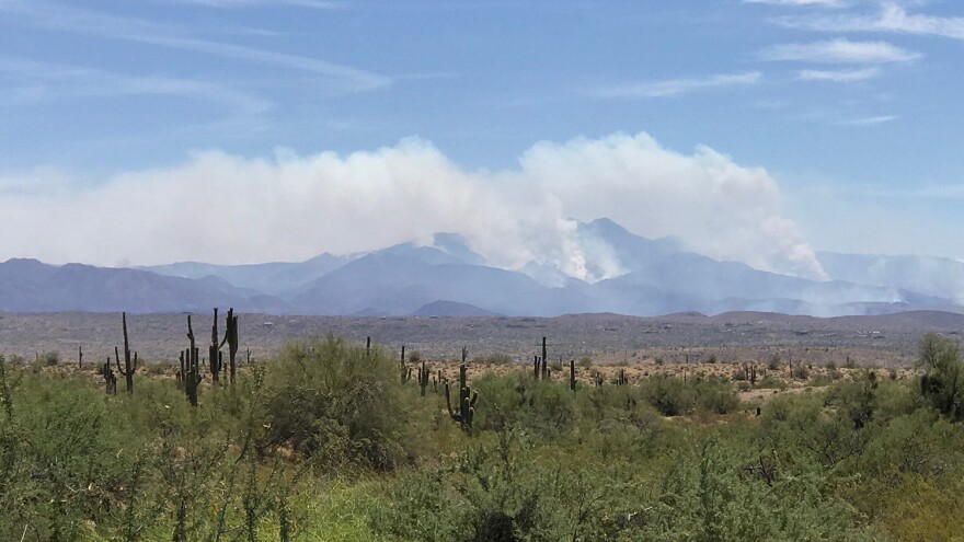 Bush Fire