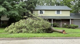 A downed tree rests across the lawn in front of a house with brick on the first floor and green siding on the second level.  