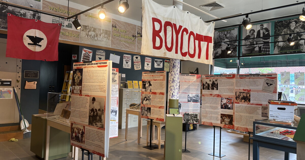 Springfield History Museum reopens with a new look and a new exhibit