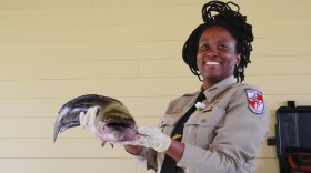 Ranger Crenshaw holding a Northern snakehead that was caught in the Blackwater River, 2018. Maryland Department of Natural Resources photo.