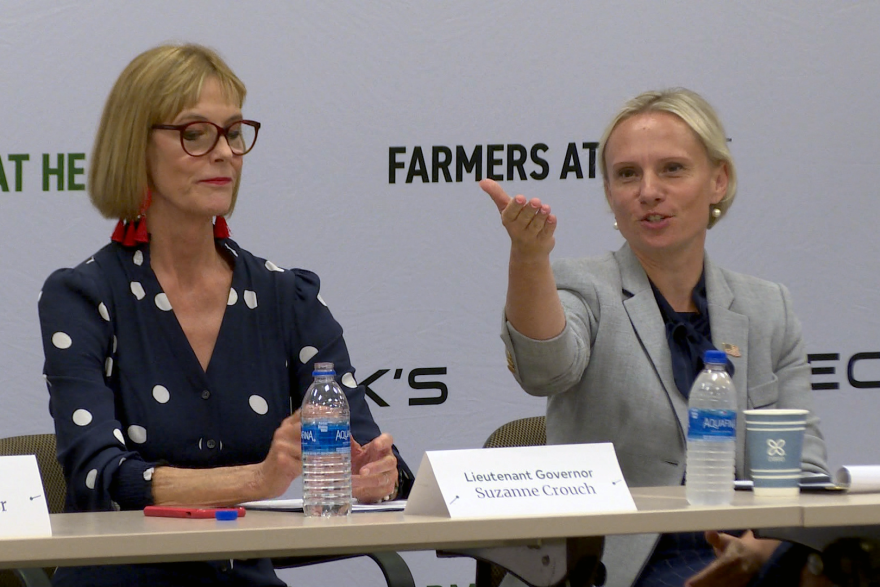Indiana Lieutenant Governor Suzanne Crouch and Congresswoman Victoria Spartz (R IN-5) spoke at a round table in Atlanta, IN on Monday.