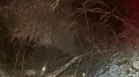 Overnight in Pike County Sunday, there were nearly two dozen reports of trees down across roads or power lines or both.