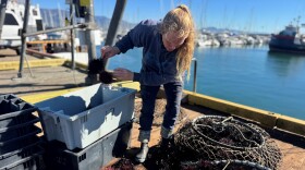 She unloads and packs the haul for distribution to local restaurants