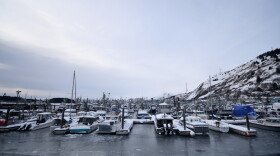 Kodiak’s harbor, January, 2020. (Photo by Kavitha George/KMXT)