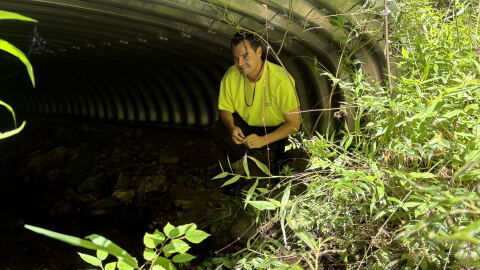 Benjamin Bradley sits in a culvert designed to keep Appalachian brook trout safe from road runoff.