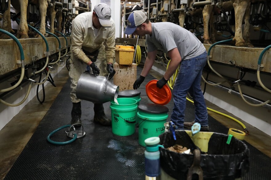 From left, Corey Tavs and Andrew Sullivan help with the afternoon milking at Vision Aire Farms. Owners Travis and Janet Clark often do the milking themselves, but call in additional employees when they need extra help.