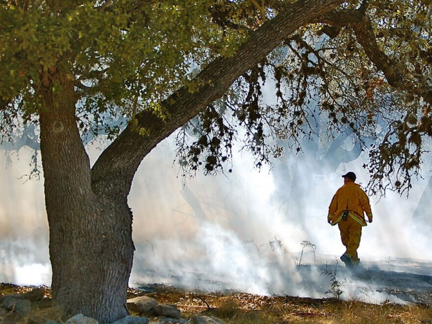Fireman assessing situation in Canyon Lake