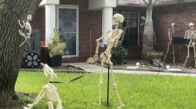 Skeletons are a popular front yard Halloween decoration in Tampa.