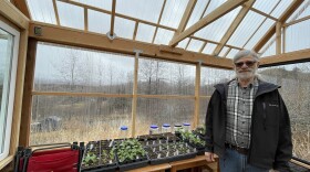 a man in a greenhouse