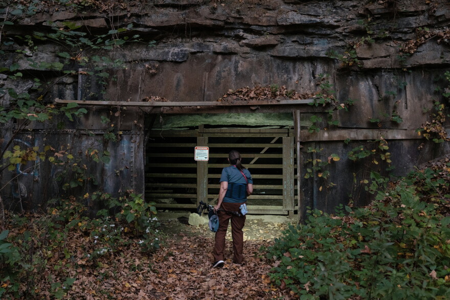 Hannibal Parks and Recreation nature interpreter Gale Rublee looks into the gated entrance of an abandoned limestone mine on Oct. 10 at Sodalis Nature Preserve in Hannibal.