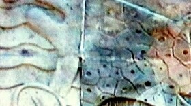 Councilor Christiansen says wall titles are not aligned.