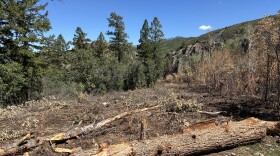 A containment line on the Gold Mountain Fire stopped the blaze from spreading. The fire burned the vegetation on the right but did not cross the line. Crews are now repairing areas disturbed during construction of the containment line.