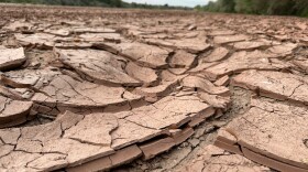 FILE - Cracked, dry mud makes up the riverbed of the Rio Grande in Albuquerque, N.M., on Thursday, Aug. 21, 2025. (AP Photo/Susan Montoya Bryan, File)