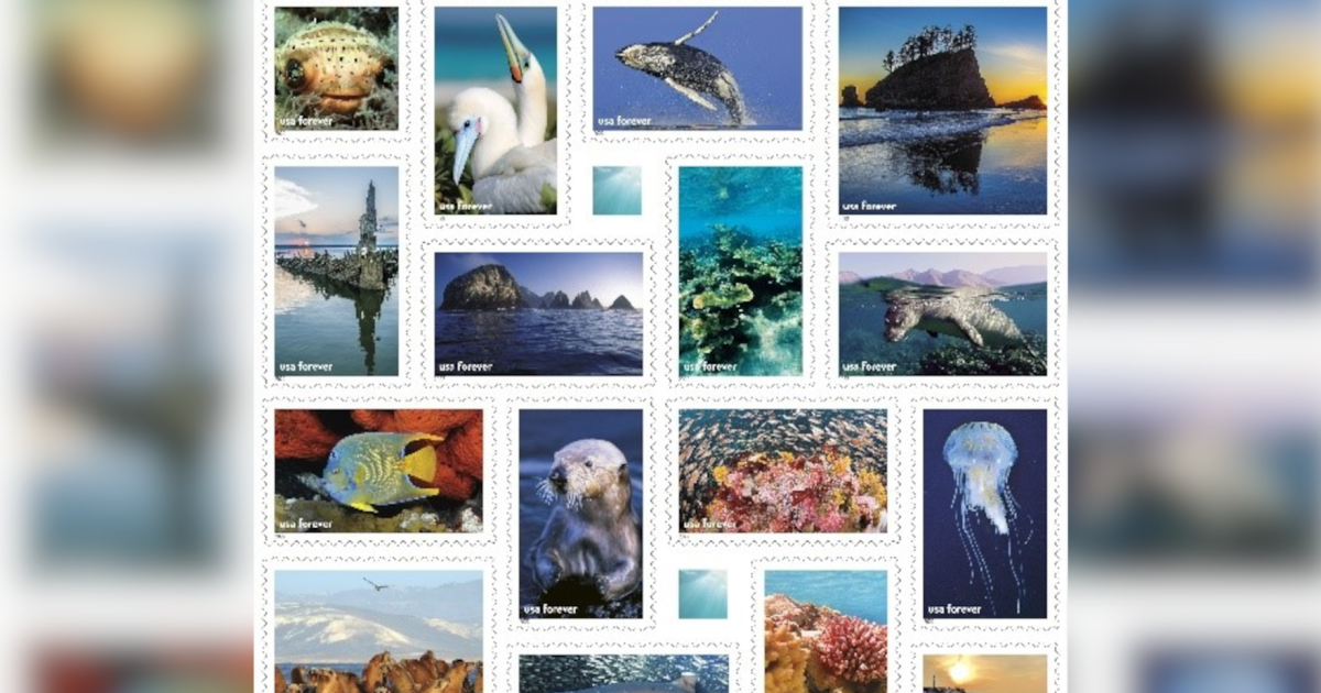 New USPS stamps celebrate 50 years of protecting the country's marine