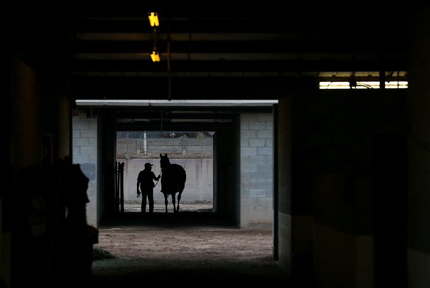 A groom walks a horse in the stables at Hollywood Park in Inglewood, Calif.