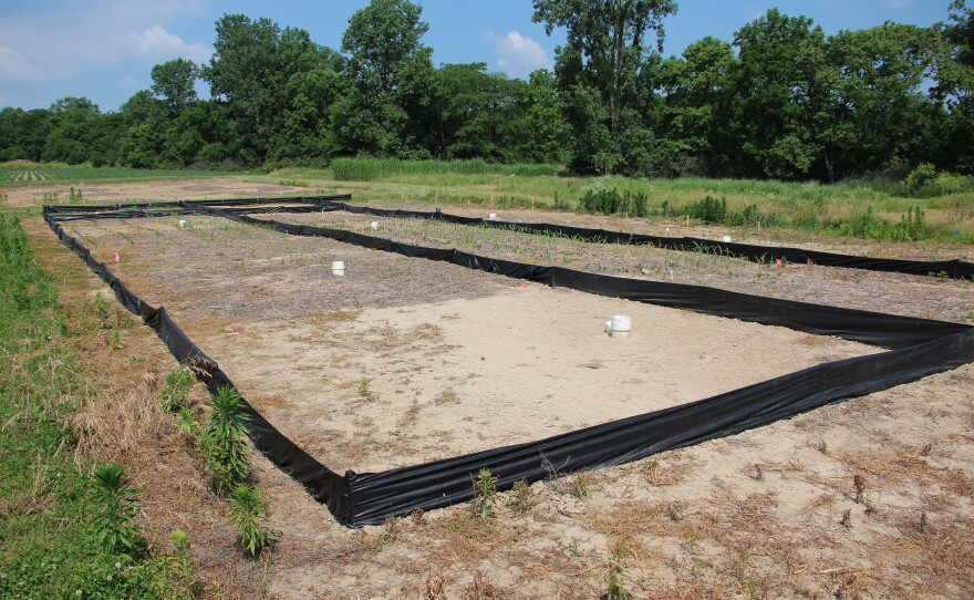 Soon after he returned to Ohio State University in the late 1980s, Rattan Lal laid out these research plots to study the capacity of soil to store carbon.