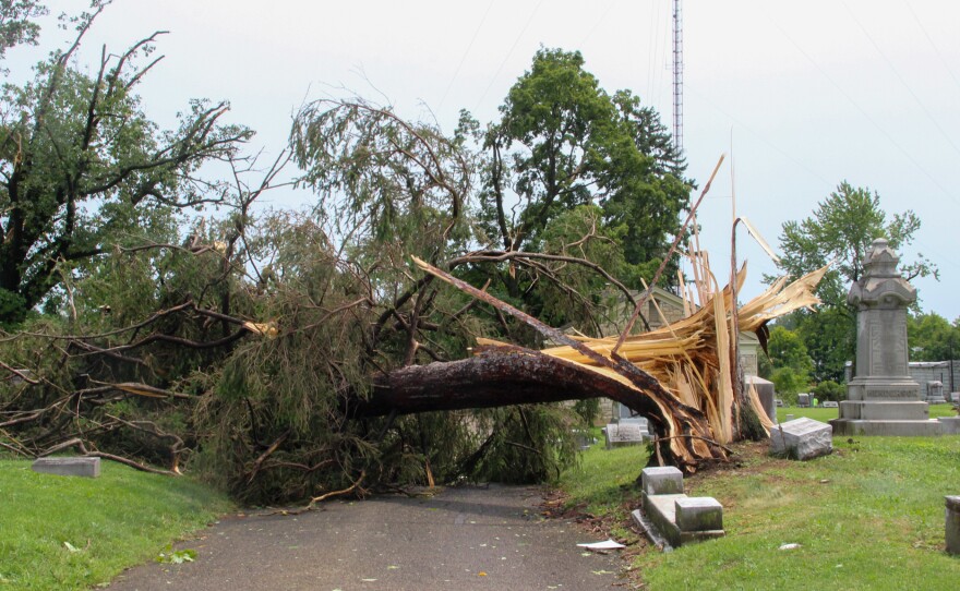 A tree is splintered near its base and lays across a paved path in a cemetery. 