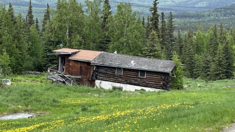 A sunken house in Fairbanks, Alaska. (Barbara Moran/WBUR)
