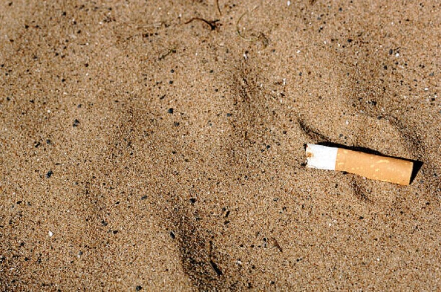 Litter on the beach, dumped cigarette butt