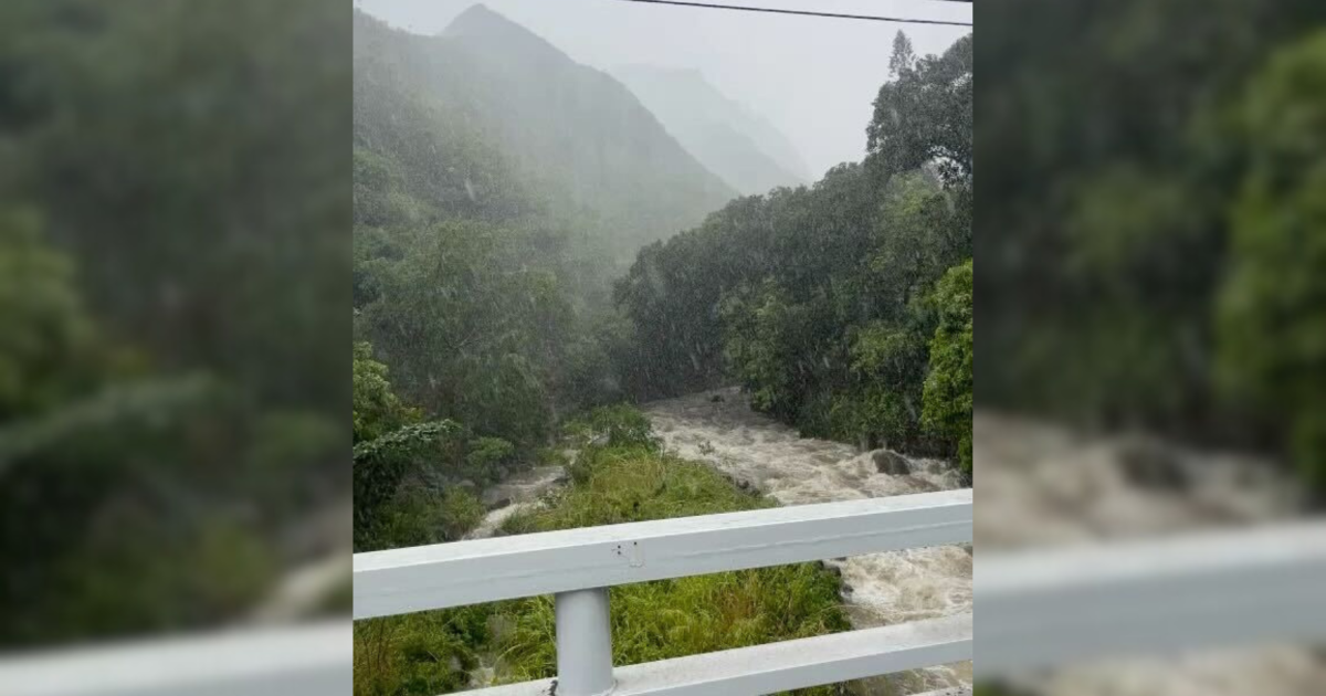 Schools, government offices to reopen Tuesday as wind and rain subside