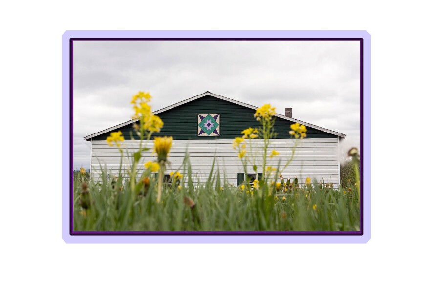 The "Blazing Star" barn quilt of Kane Rd. in Sheldon.