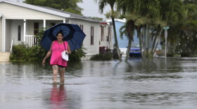 Peggy Wallace walks near her flooded neighborhood in Davie, Florida, in June. With Hurricane Irma bearing down on Florida, an Associated Press analysis shows that the number of federal flood insurance policies written in the state has fallen by 15 percent. (AP/File)
