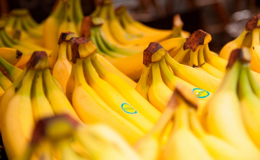 Just like all fresh produce, your bananas are alive. They're taking in oxygen to help them convert sugars into energy, and releasing carbon dioxide.