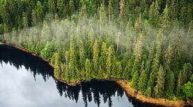 Tongass National Forest.