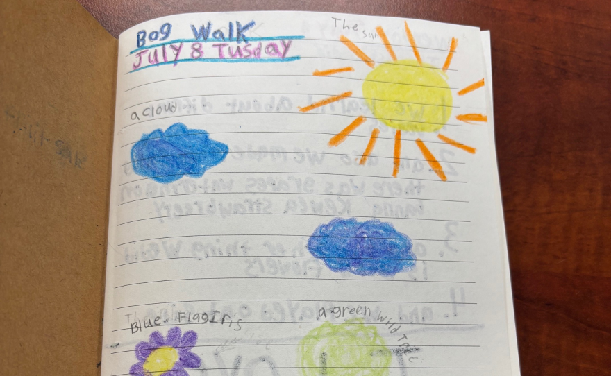 A kid's illustration shows a sun, clouds, blue flag iris, and a green wild tree.